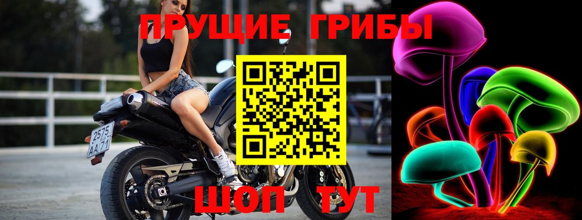 Псилоцибиновые грибы ЛСД Нефтекамск